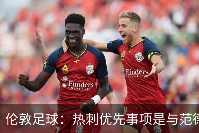 伦敦足球：热刺优先事项是与范德芬续约