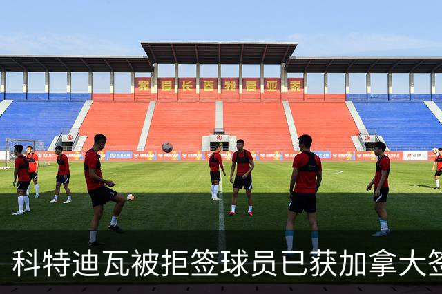 科特迪瓦被拒签球员已获加拿大签证 有望登场出战德国